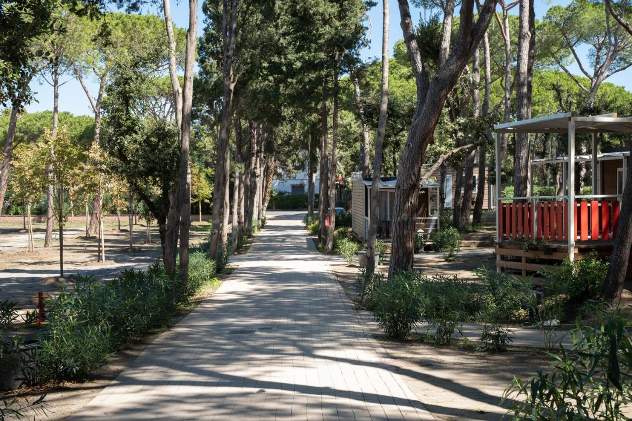 Camping Il Capannino Glamping Village Marina Di Bibbona Exteriör bild