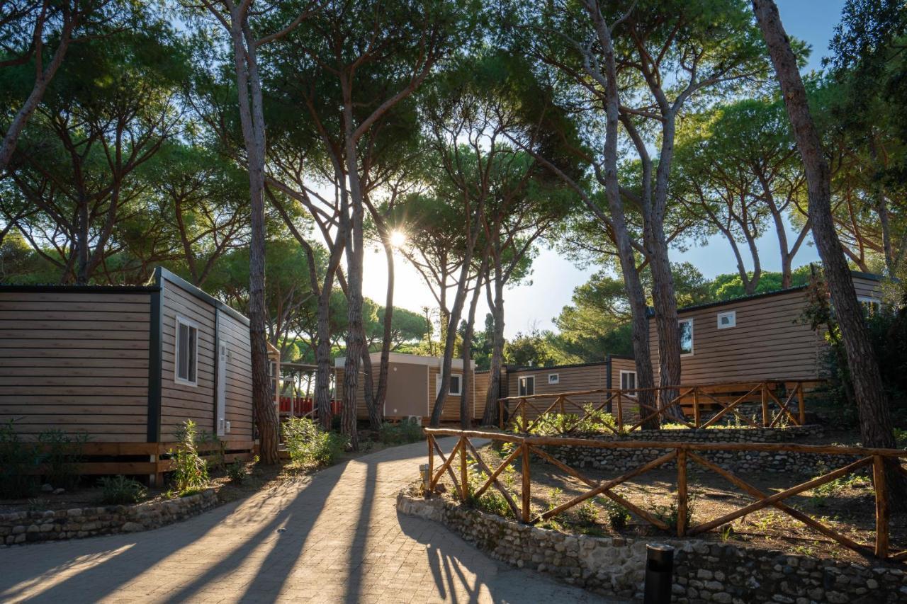 Camping Il Capannino Glamping Village Marina Di Bibbona Exteriör bild