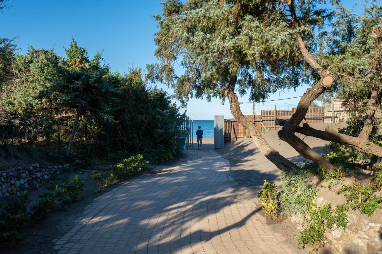 Camping Il Capannino Glamping Village Marina Di Bibbona Exteriör bild